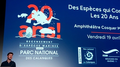 e9a9ea05 ff68 4a36 8bce 032a8dca6922