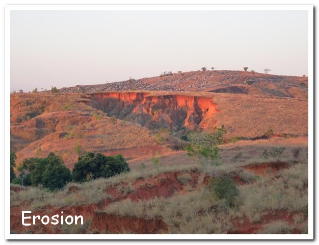 Madagasacar articles 004