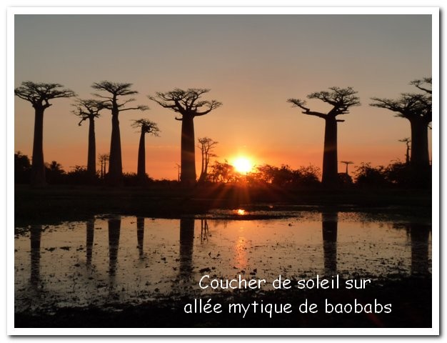 Madagasacar articles 027