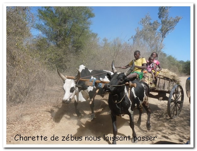 Madagasacar articles 030