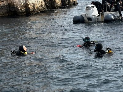 aa36e2a8 dc13 4cf3 8b3b 81a692a70775