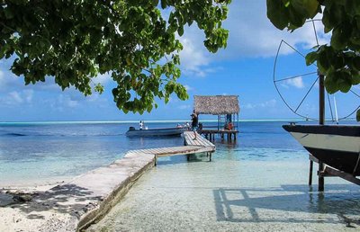 f7a723b9fd1b430498ece6277d96200c