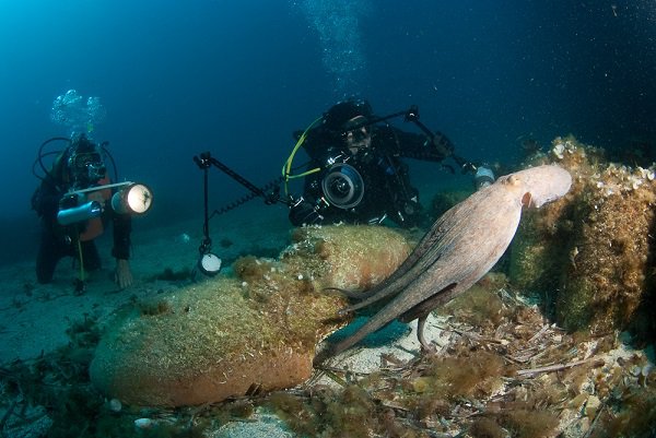 Champ d'amphores du Frioul et poulpe