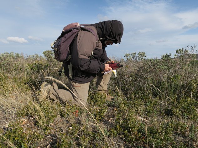 img_8251-convertimage