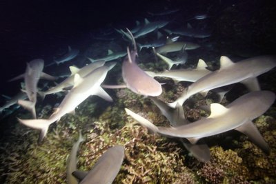 0907e284 b27d 448f 8197 6ee3461a13fe