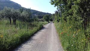 20200424 103956 Copie