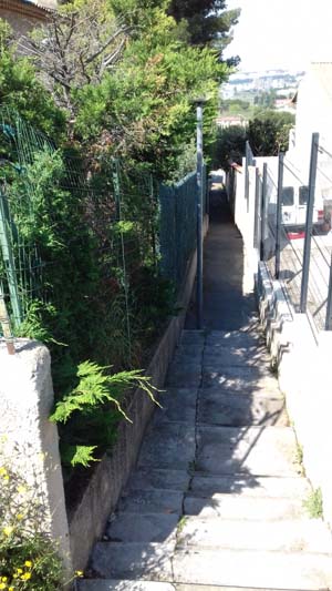 20200424 110636 Copie