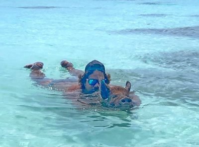 618c4312 9d75 4b45 98e5 88f5c89e59b8