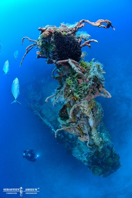 391677043 2027172987637830 5822757871497085522 n