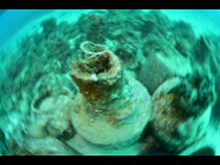 Flo Galathéa 7 eme thème mediterranée 2