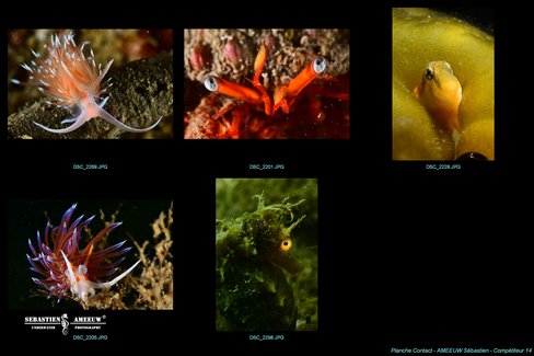 196860415 1430139504007851 1412573911486454126 n