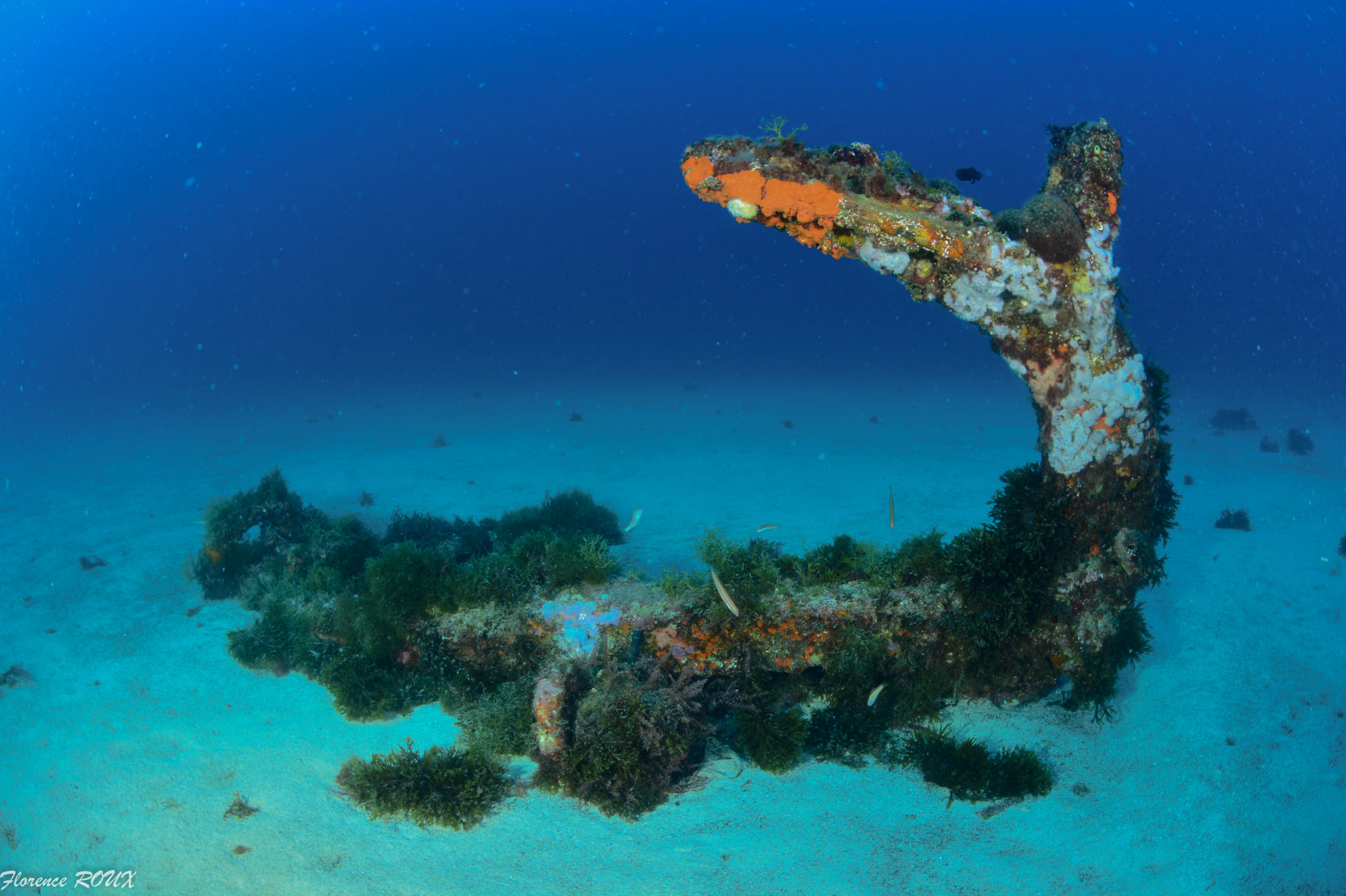 178017937 4052844818070568 3210444414087255747 n