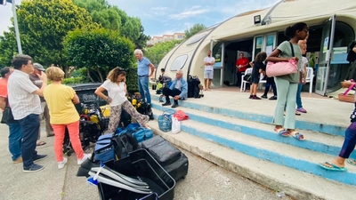 350541229 1778961059205215 4397995545219034558 n