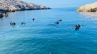 351107426 992512725462063 1608773631532098857 n