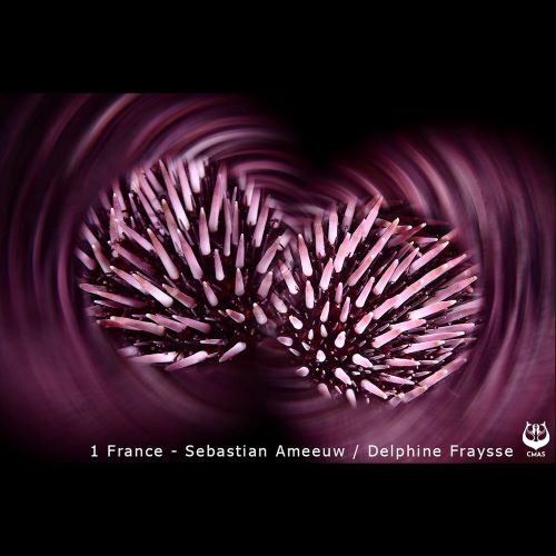 311602370 2281004948720953 3029707408633625584 n