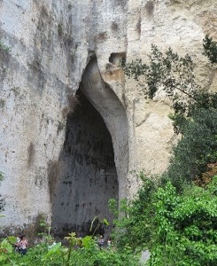 09 OREILLE DE DENYS SYRACUSE