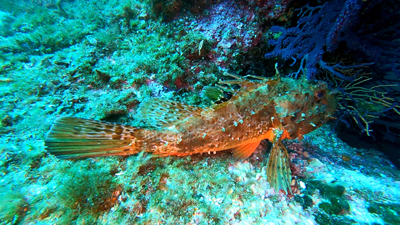 Projet Vidéo4 copy copy copy