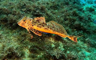 Projet Vidéo6 copy copy