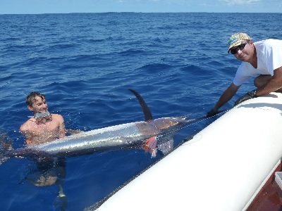 Marlin2
