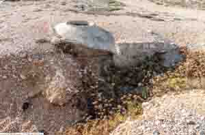 Tobrouk à côté de Mounine