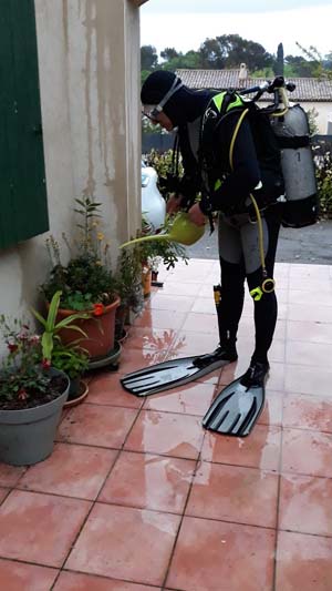 arrosage des plantes Copie