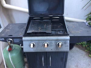 Asticots 2 13 07 2018